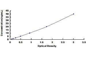 Sphingomyelin phosphodiesterase, Acid-Like 3B (SMPDL3B) ELISA Kit