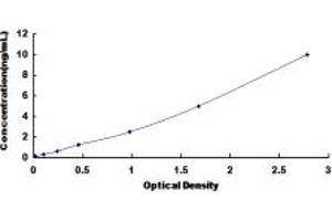 Typical standard curve (NTSR2 ELISA Kit)