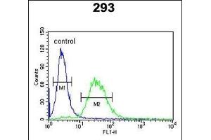 F10 Antibody (C-term) (ABIN390688 and ABIN2840978) flow cytometric analysis of 293 cells (right histogram) compared to a negative control cell (left histogram). (Coagulation Factor X Antikörper  (C-Term))