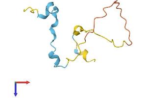 MLLT11 Protein (AA 1-90) (Fc Tag)