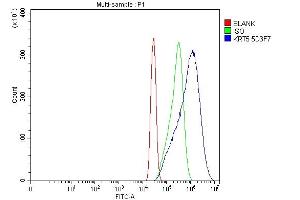 Flow Cytometry analysis of A431 cells using anti-Cytokeratin 5 antibody (ABIN7602992).