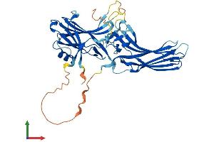 AlphaFold protein structure predicition of Human Recombinant ARRB2 Protein, UniprotID P32121