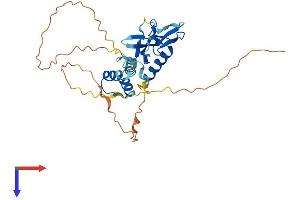 DPPA2 Protein (AA 1-298) (His tag)