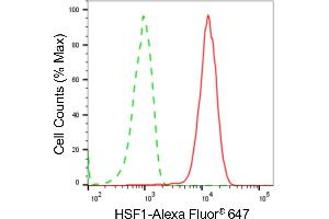 Flow cytometric analysis of HSF1 expression in HepG2 cells using HSF1 antibody (ABIN7798862), 1:2,000).