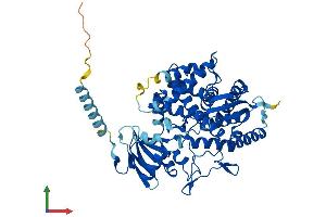 Protein Structure (PS) image for Cytochrome P450, Family 7, Subfamily B, Polypeptide 1 (CYP7B1) (AA 1-507) protein (His tag) (ABIN7557645)