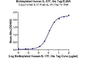 Immobilized Human IL-17 R alpha, hFc Tag at 2 μg/mL (100 μL/well) on the plate.