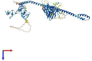 TRIM36 Protein (AA 1-729) (His tag)