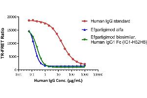 The kit is suitable for the detection of FcRn inhibitors.