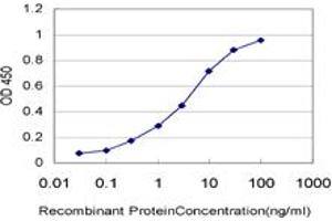 Detection limit for recombinant GST tagged ARAF is approximately 0. (ARAF Antikörper  (AA 151-250))