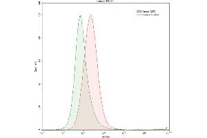 Detection of ILF3 in K562 human chronic myelogenous leukemia cell line using Anti-Interleukin Enhancer Binding Factor 3 (ILF3) Polyclonal Antibody (Interleukin enhancer-binding factor 3 (ILF3) (AA 672-891) Antikörper)