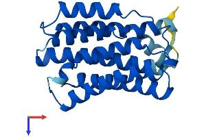 KDELR1 Protein (AA 1-212) (His tag)