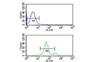 Flow Cytometry (FACS) image for anti-Amiloride-Sensitive Cation Channel 2, Neuronal (ACCN2) (AA 500-526) antibody (ABIN5647473)