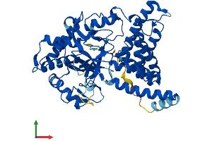 Protein Structure (PS) image for SET and MYND Domain Containing 1 (SMYD1) (AA 1-490) protein (His tag) (ABIN7546249)