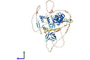 Protein Structure (PS) image for Chromosome 14 Open Reading Frame 104 (C14orf104) (AA 1-814) protein (His tag) (ABIN7564408)