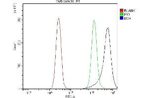 Flow Cytometry analysis of K562 cells using anti-BCR antibody (ABIN7601180). (BCR Antikörper  (AA 3-264))