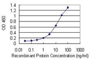 Detection limit for recombinant GST tagged RNF170 is 0. (RNF170 Antikörper  (AA 121-193))