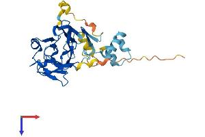 NEURL2 Protein (AA 1-285) (His tag)