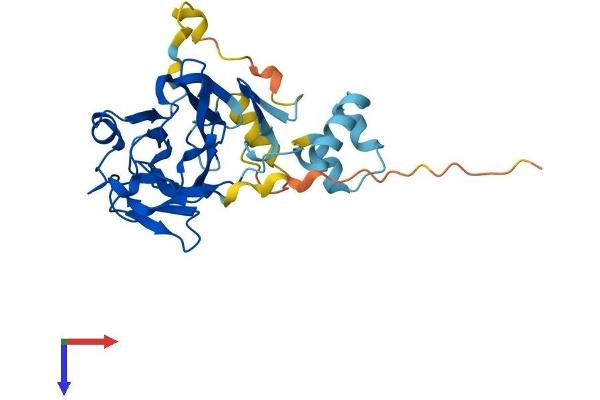 NEURL2 Protein (AA 1-285) (His tag)