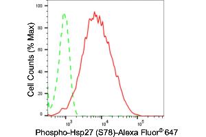Flow cytometric analysis of phospho-Hsp27 (S78) expression in HepG2 cells using phospho-Hsp27 (S78) antibody (ABIN7798843), 1:2,000).