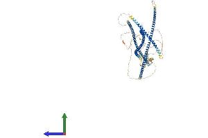 Protein Structure (PS) image for Bicaudal D Homolog 1 (BICD1) (AA 1-975) protein (His tag) (ABIN7552806)