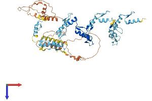 ZNF549 Protein (AA 1-640) (His tag)