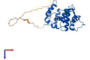 AlphaFold protein structure predicition of Human Recombinant DCUN1D5 Protein, UniprotID Q9BTE7 (DCUN1D5 Protein (AA 1-237) (His tag))