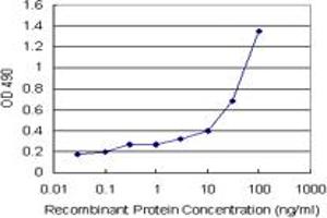 Sandwich ELISA detection sensitivity ranging from 3 ng/mL to 100 ng/mL. (AHSG (Human) Matched Antibody Pair)