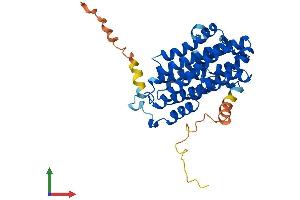 Protein Structure (PS) image for Ribonucleotide Reductase M2 B (TP53 Inducible) (RRM2B) (AA 1-351) protein (His tag) (ABIN7558060)
