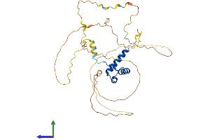 Protein Structure (PS) image for Homeobox D9 (HOXD9) (AA 1-352) protein (His tag) (ABIN7548399)