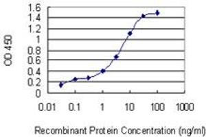 Detection limit for recombinant GST tagged GLIPR1 is 0. (GLIPR1 Antikörper  (AA 23-99))