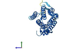 AlphaFold protein structure predicition of Mouse Recombinant Srd5a2 Protein, UniprotID Q99N99