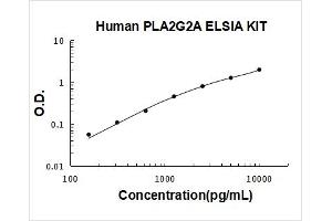 Phospholipase A2, Group IIA (Platelets, Synovial Fluid) (PLA2G2A) ELISA Kit