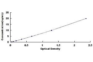 Perforin 1 ELISA Kit