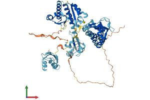 Protein Structure (PS) image for Insulin-Like Growth Factor 2 mRNA Binding Protein 2 (IGF2BP2) (AA 1-599) protein (His tag) (ABIN7554155)