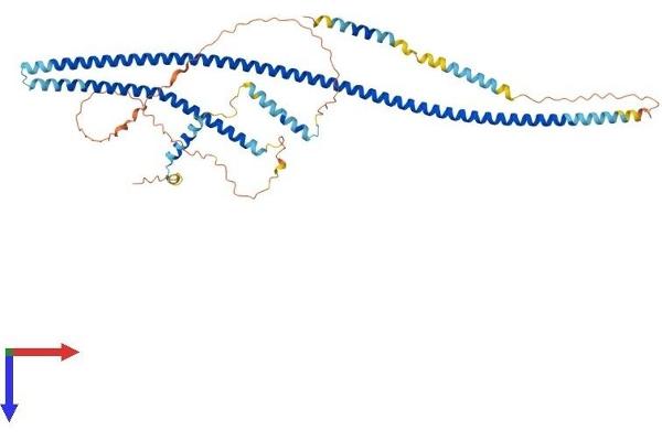 TRAF3IP3 Protein (AA 1-513) (His tag)