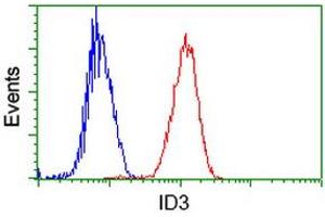 Image no. 14 for anti-Inhibitor of DNA Binding 3, Dominant Negative Helix-Loop-Helix Protein (ID3) antibody (ABIN1498779) (ID3 Antikörper)