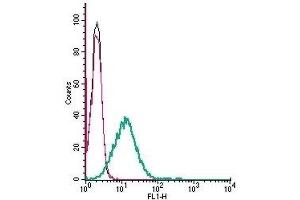 Cell surface detection of GABA(B) Receptor 1 by indirect flow cytometry in live intact mouse BV-2 microglia cells: (black line) Cells. (GABBR1 Antikörper  (Extracellular))