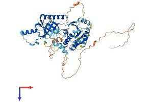 Meiosis 1 Associated Protein (M1AP) (AA 1-529) protein (His tag)