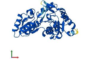 Protein Structure (PS) image for Phospholysine Phosphohistidine Inorganic Pyrophosphate Phosphatase (LHPP) (AA 1-270) protein (His tag) (ABIN7561086)