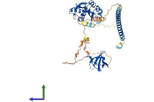 Protein Structure (PS) image for Drebrin-Like (DBNL) (AA 1-436) protein (His tag) (ABIN7563967)