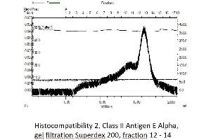 Image no. 3 for Histocompatibility 2, Class II Antigen E Alpha, Pseudogene (H2-EA-PS) (AA 26-255) protein (rho-1D4 tag) (ABIN3132417) (Histocompatibility 2, Class II Antigen E Alpha, Pseudogene (H2-EA-PS) (AA 26-255) protein (rho-1D4 tag))