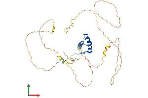Protein Structure (PS) image for Homeobox A2 (HOXA2) (AA 1-372) protein (His tag) (ABIN7563105)