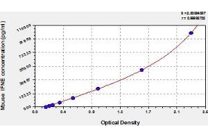 Typical Standard Curve (IFNE ELISA Kit)