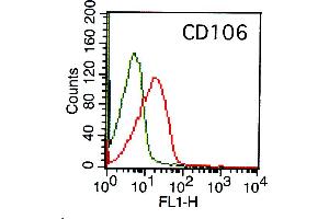 Image no. 1 for anti-Vascular Cell Adhesion Molecule 1 (VCAM1) antibody (ABIN5027666) (VCAM1 Antikörper)