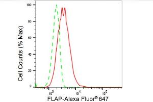 Flow cytometric analysis of FLAP expression in HeLa cells using FLAP antibody (ABIN7797639), 1:2,000). (Rekombinanter ALOX5AP Antikörper)
