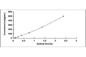 LTA ELISA Kit