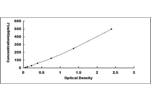 LTA ELISA Kit