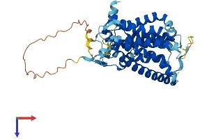 SGPP2 Protein (AA 1-399) (His tag)