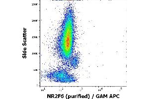 Flow Cytometry (FACS) image for anti-Nuclear Receptor Subfamily 2, Group F, Member 6 (NR2F6) antibody (ABIN2749193)