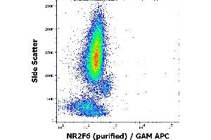 Flow cytometry intracellular staining pattern of human peripheral whole blood stained using anti-NR2F6 (EM-51) purified antibody (concentration in sample 3 μg/mL, GAM APC). (NR2F6 Antikörper)